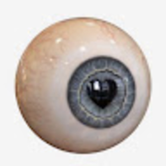 Meet your Posher, Lyla - Picture 1 of 1